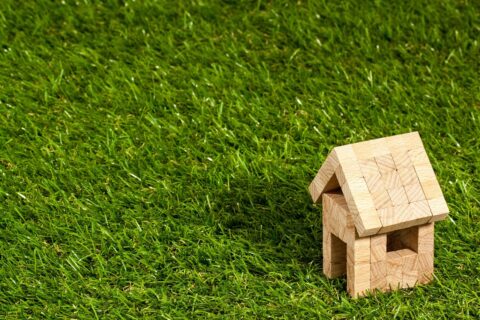 Property rights