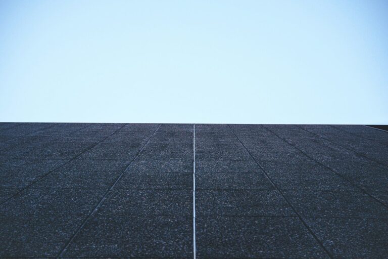 Dark textured surface against a clear blue sky.