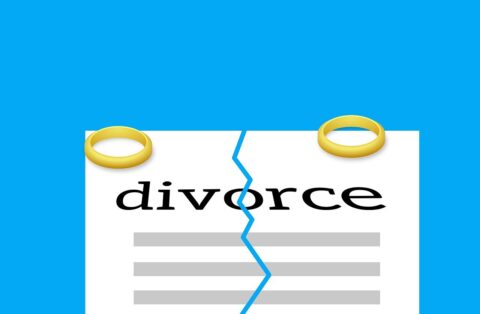 A Profile of Deceit: Delhi High Court Upholds Annulment Over Hidden Divorce and Inflated Income