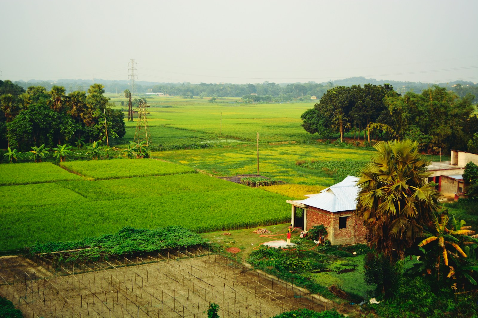 Supreme Court Sets Aside DRT Sale of DDA Plot