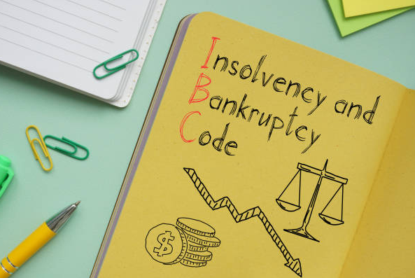 Streamlining Insolvency Professional Appointments: The IBBI's 2025 Guidelines for Insolvency Professionals