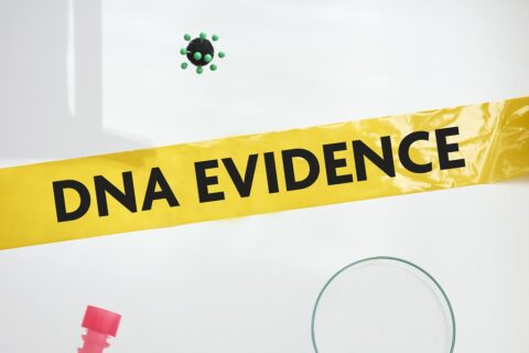 DNA evidence