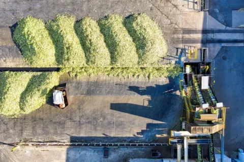 APEDA Adjudication of Penalties Rules 2026: - Aerial view of industrial corn processing with machinery in Plainview, Minnesot
