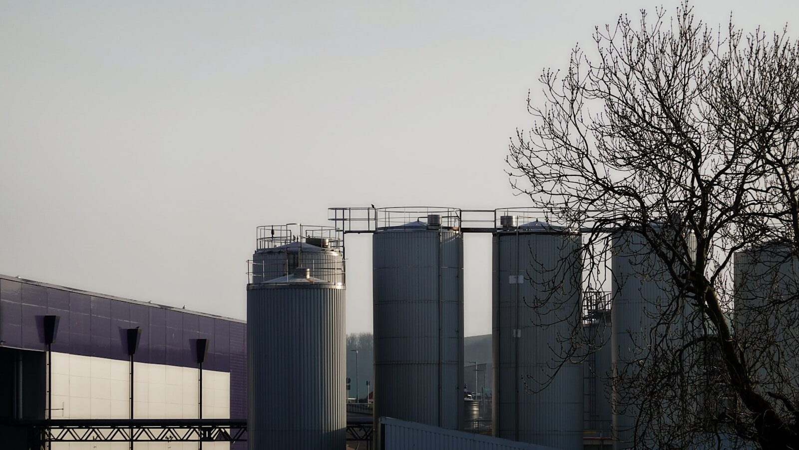 Industrial silos and buildings against a pale sky