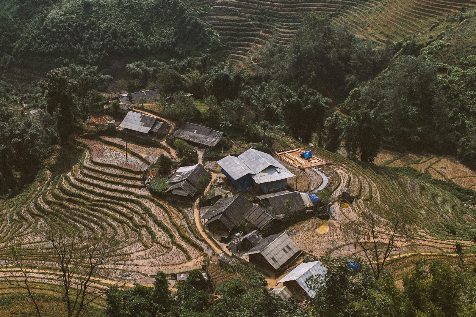 aerial view photo of house surrounded by green trees