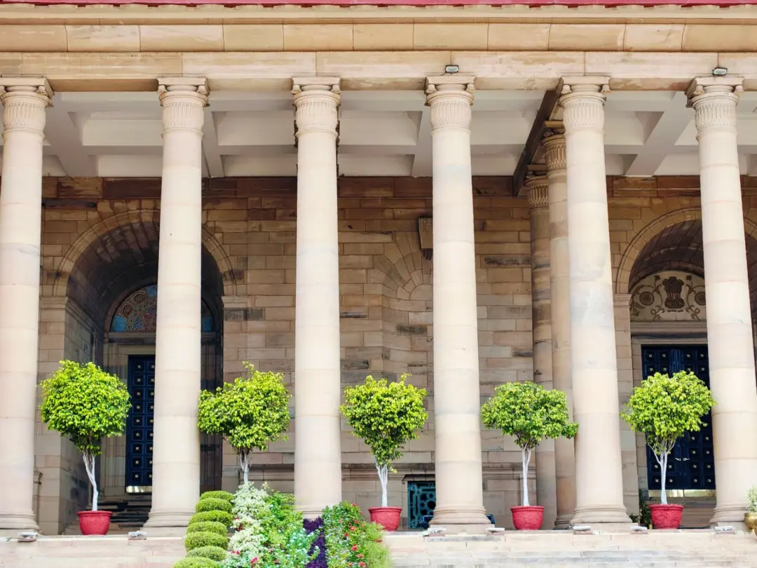 Delhi High Court Reaffirms the Right - Classical stone columns with potted greenery in Delhi, India, showcasing traditional a