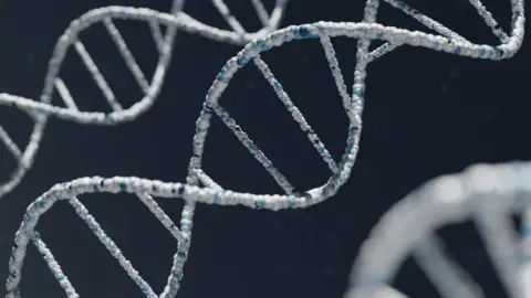 DNA Testing and Paternity Disputes: The - A chain link fence