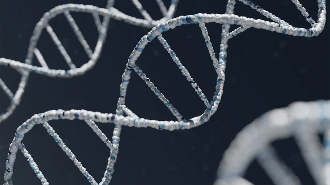 DNA Testing and Paternity Disputes: The - A chain link fence