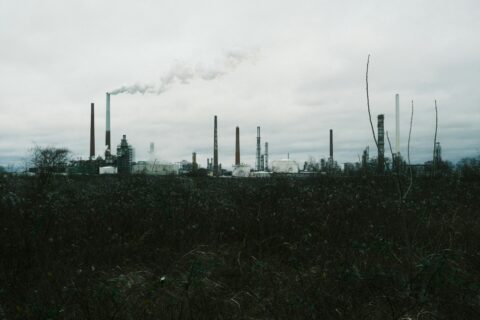 Allahabad High Court Upholds Pollution Control Board’s Power to Levy Environmental Compensation