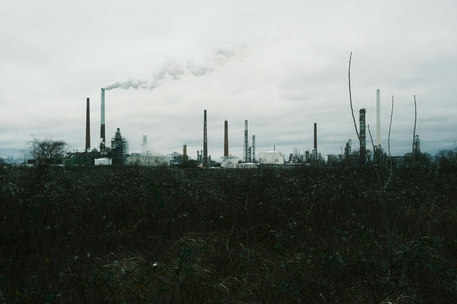 Allahabad High Court Upholds Pollution Control Board’s Power to Levy Environmental Compensation