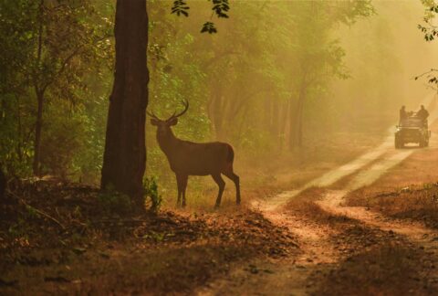 Judicial Clarity on Environmental Impact Assessments: The Vanshakti Judgment