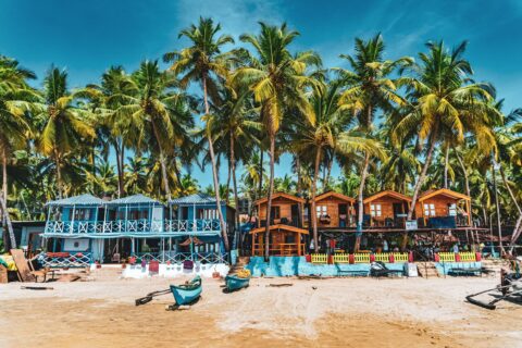 people on beach during daytime - Goa green clearances