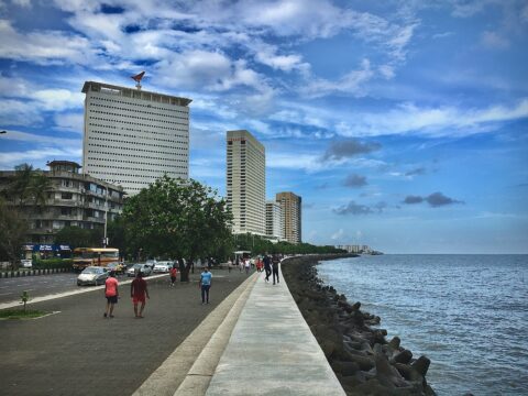 people walking on side walk beside beach - Development and Conservation