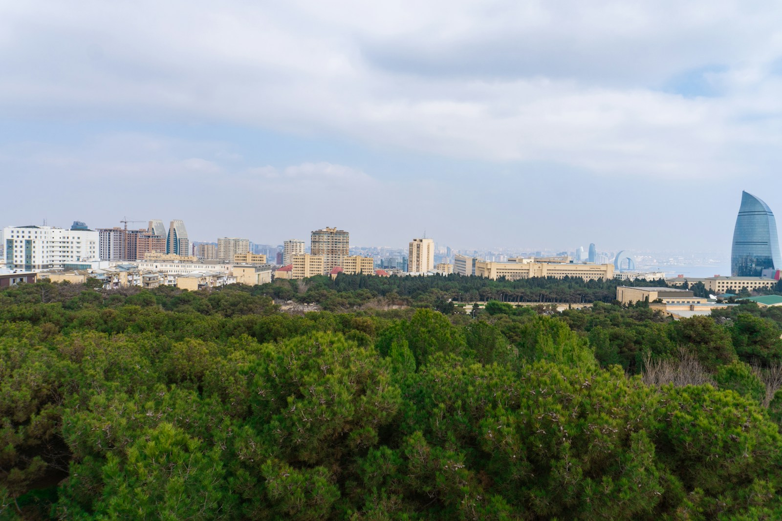 City skyline over lush green trees.