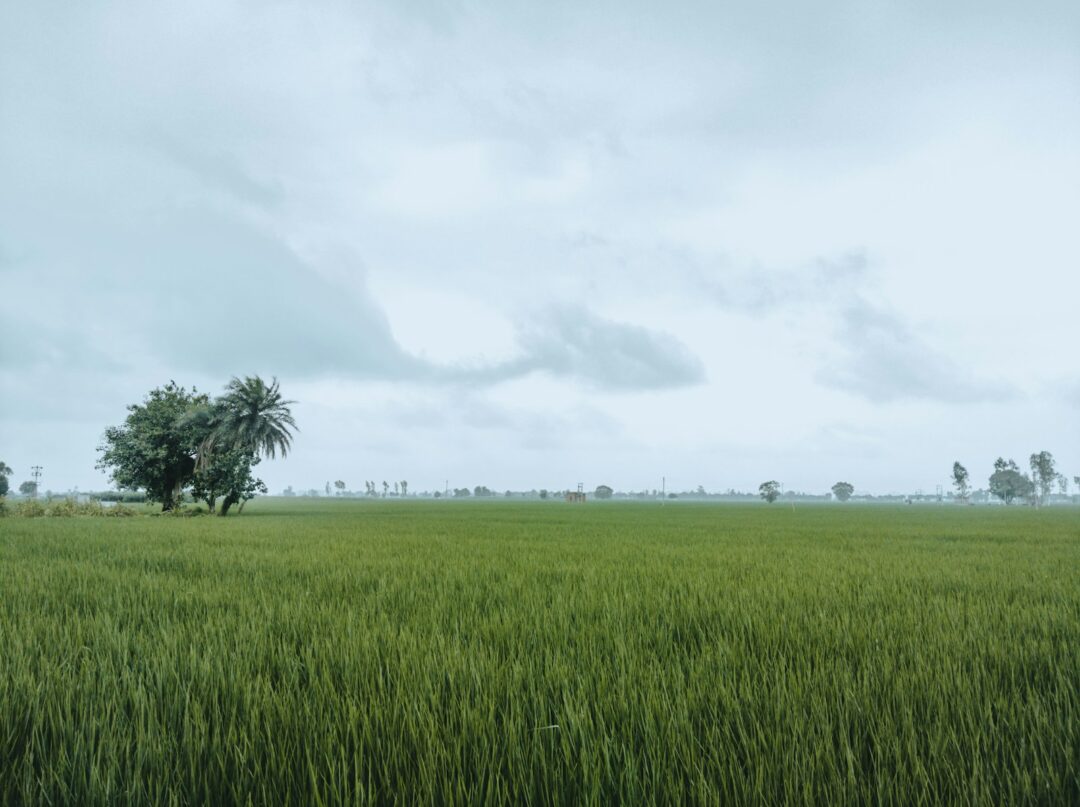 Supreme Court Clarifies Singur Land Return