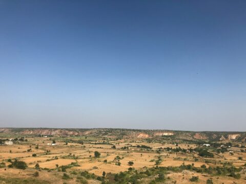 aerial view of green and brown field during daytime