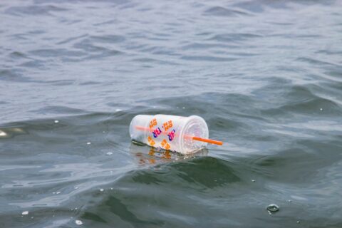 white and red plastic cup on water - bans on Single-Use Plastics