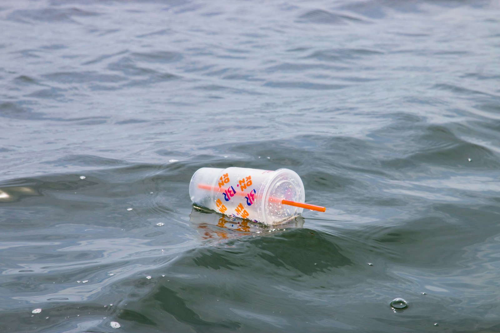 white and red plastic cup on water - bans on Single-Use Plastics