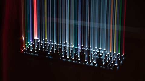 DPDP Compliance: Are You Ready in 12 Months?