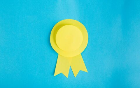 Won the Battle, Must Win the War: Rajasthan High Court Enforces United Kingdom GAFTA Award